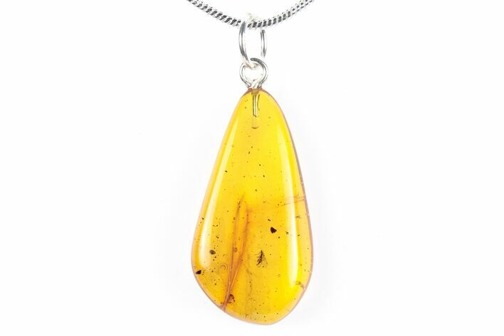 Polished Baltic Amber Pendant (Necklace) - Contains Fly! #288850